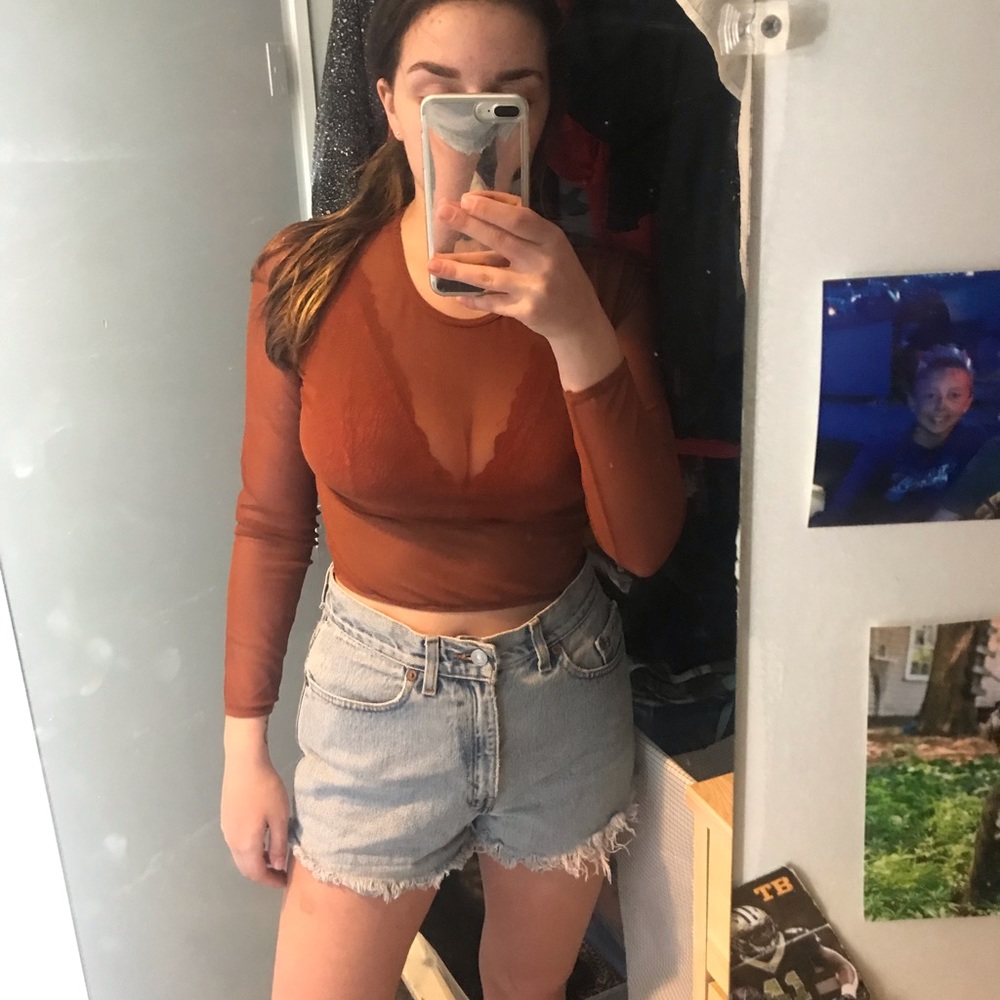 Burnt orange long sleeve mesh crop top